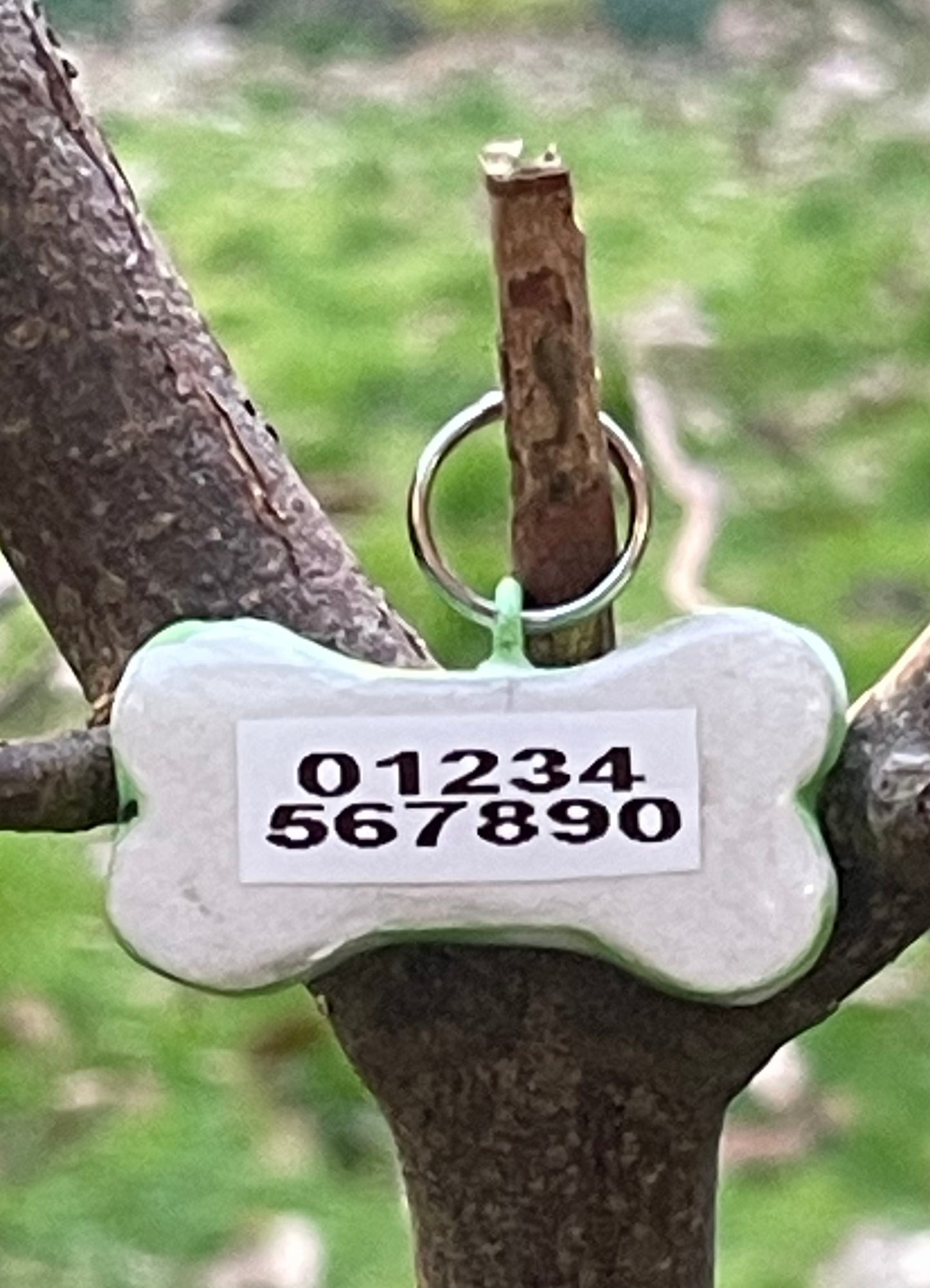 ID TAGS